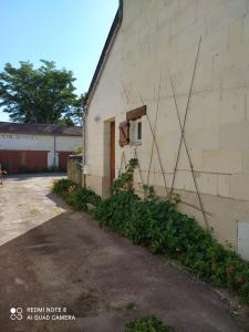 Maison cosy au cœur du Lochois