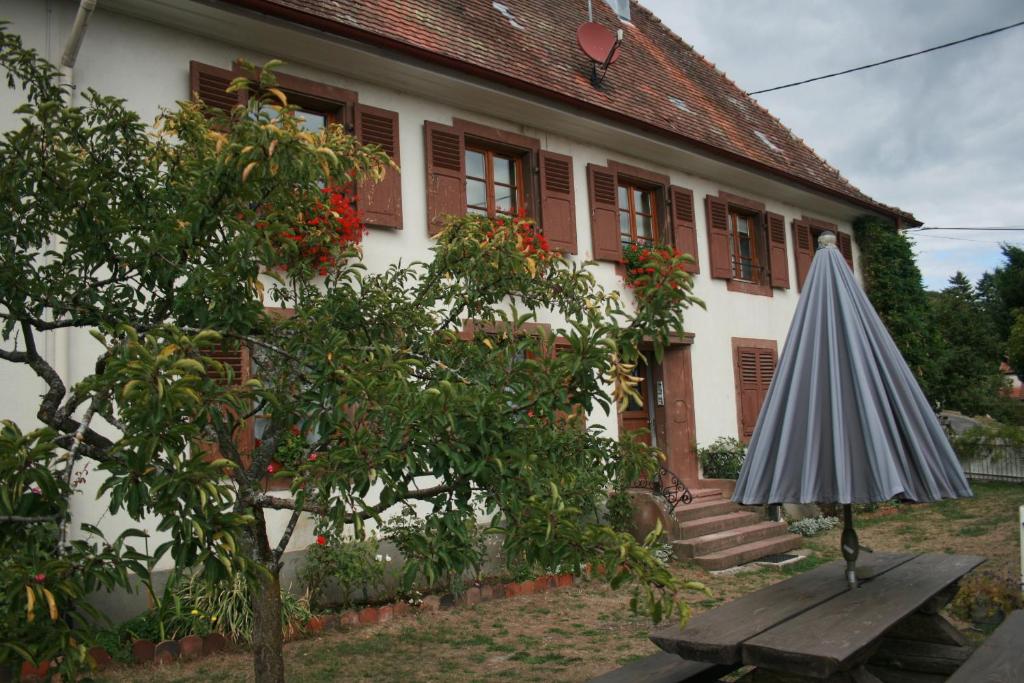 Appartement Maison d'Alsace 4 Rue de la Filature 68380 Breitenbach-Haut-Rhin