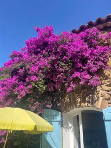 maison de vacances Médiévale Bormes-les-Mimosas village