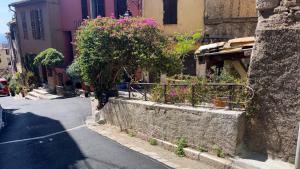 Maison de Village Haut de Cagnes