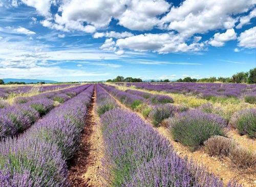 Maison de village paisible à Valensole