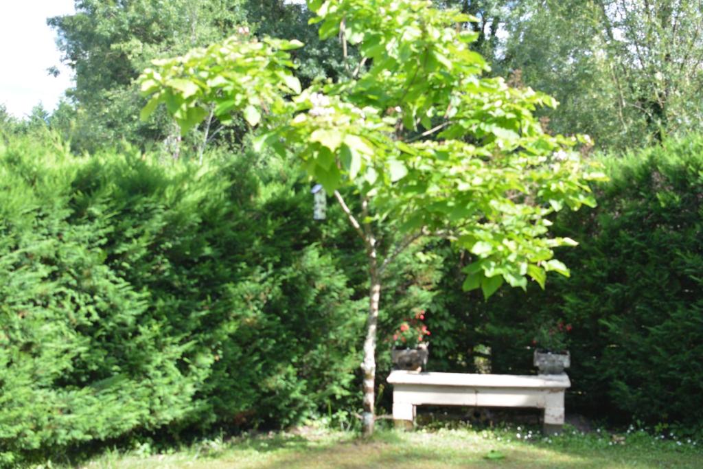 maison de village 30700 Saint-Quentin-la-Poterie