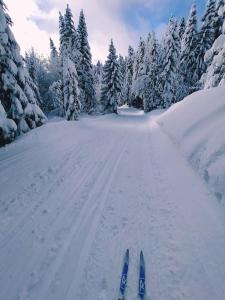 Maison de ville entre lac et montagne, lac à 10min et ski à 20min