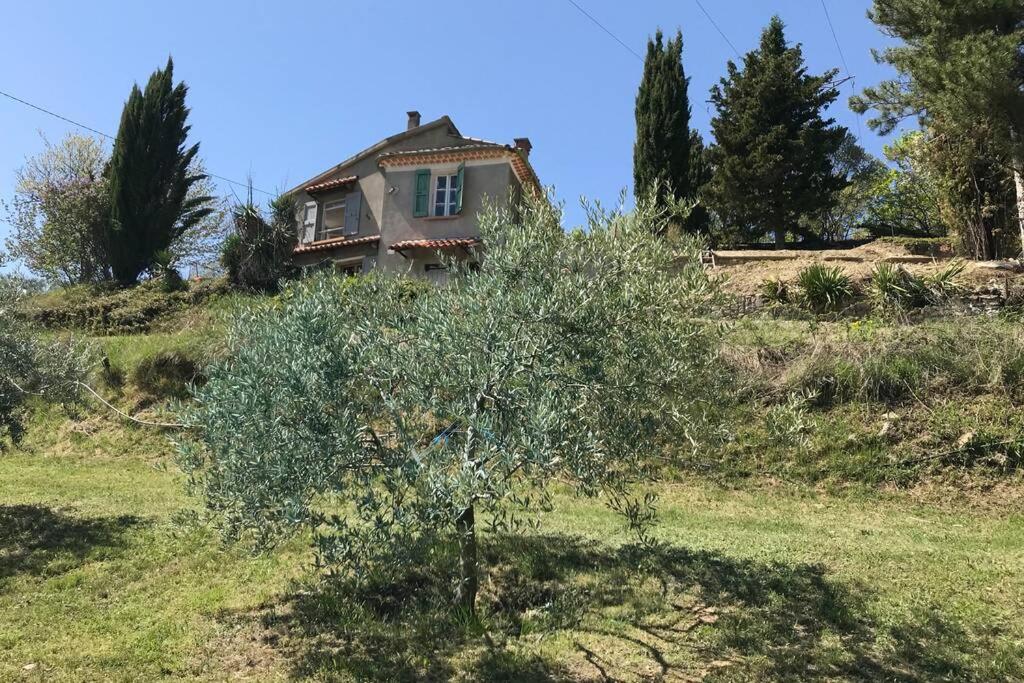 Appartement Maison «  les cyprès du paradis » : Forcalquier Quartier Chasseou 04300 Forcalquier