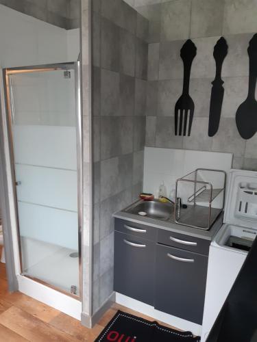 MAISON Studio SEDAN Meublé 14M2 INDEPENDANT