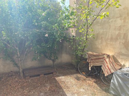 Maisonnette avec jardinet et parking - Velleron