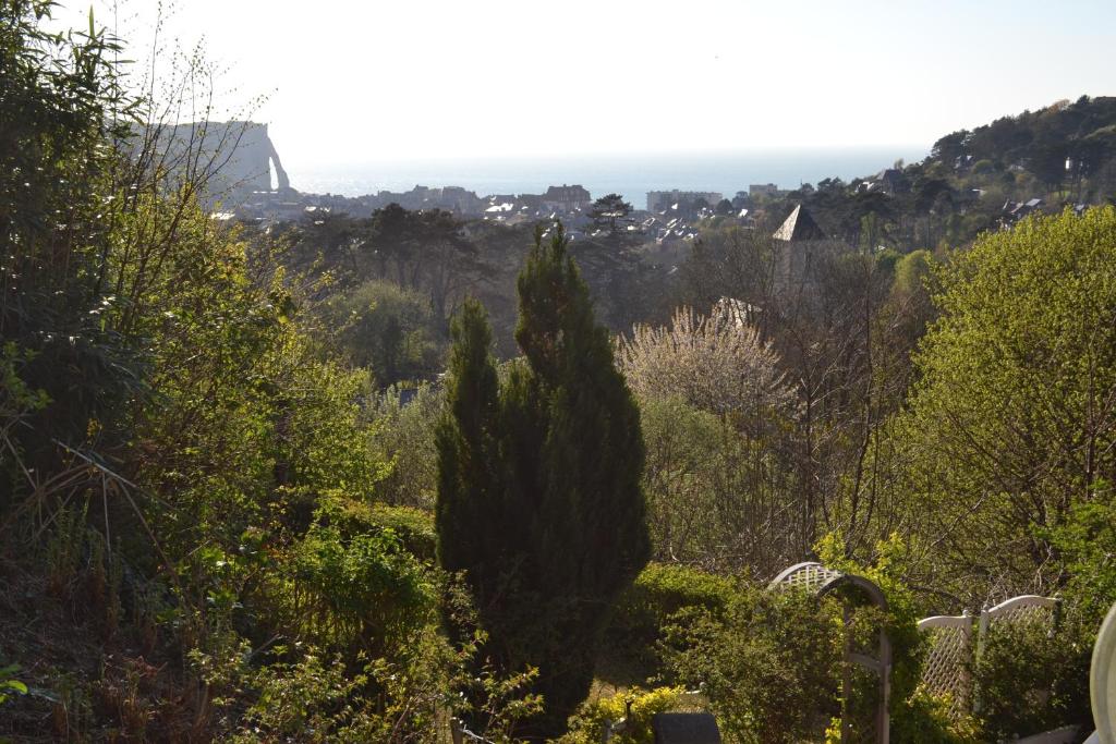 Maisonnette Cosy-Cosy 17500 Jonzac