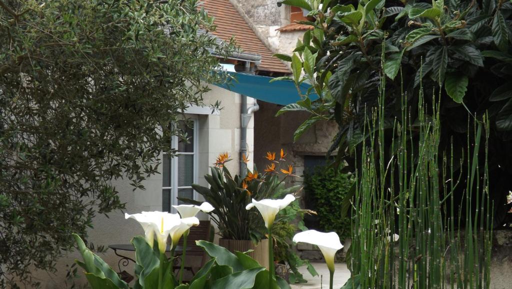 MAISONS SUR LA PLAGE Magnifique T3 mezzanine vue mer Cap d'Agde 34300 Le Cap d\'Agde
