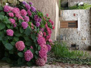Manoir du Mur