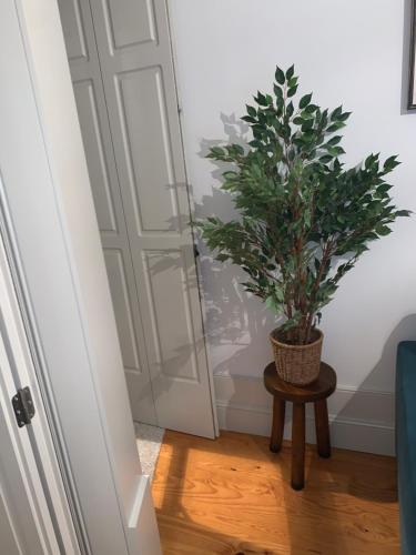Maravilhoso apartamento no Centro do Porto
