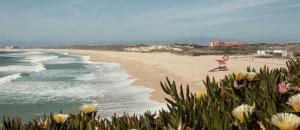 Mare Cheia (High Tide) Beach and Surf Apartments