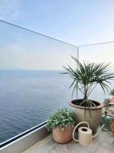 Appartement Mare è rocca 16 Rue Doria 20169 Bonifacio Corse