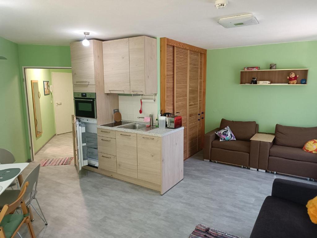 Appartement Marienkaefer Grüne Aue 8 38700 Braunlage