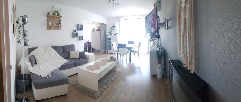 Appartement Marina 17 Rue des Tuileries Bat B Appt 180 3ème étage 66000 Perpignan