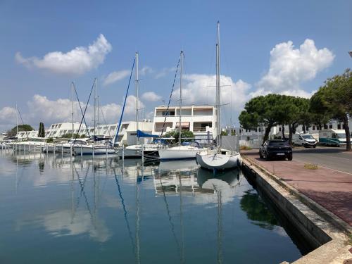 Appartement Marina au cœur de Port Camargue Le Grau-du-Roi france