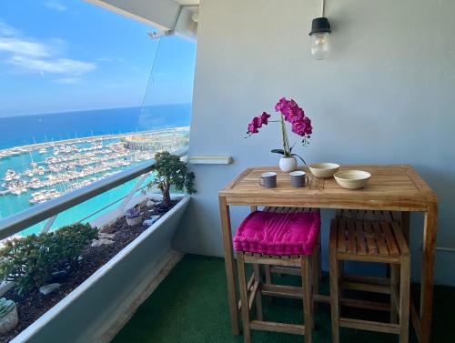 Marina Baie des Anges