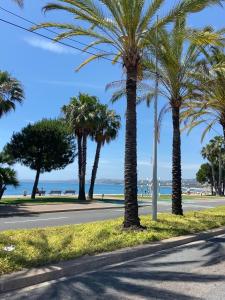 Marina Baie des Anges
