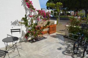 Appartement Marina NS Guesthouse 51 Rue de Tourville 30240 Le Grau-du-Roi Languedoc-Roussillon