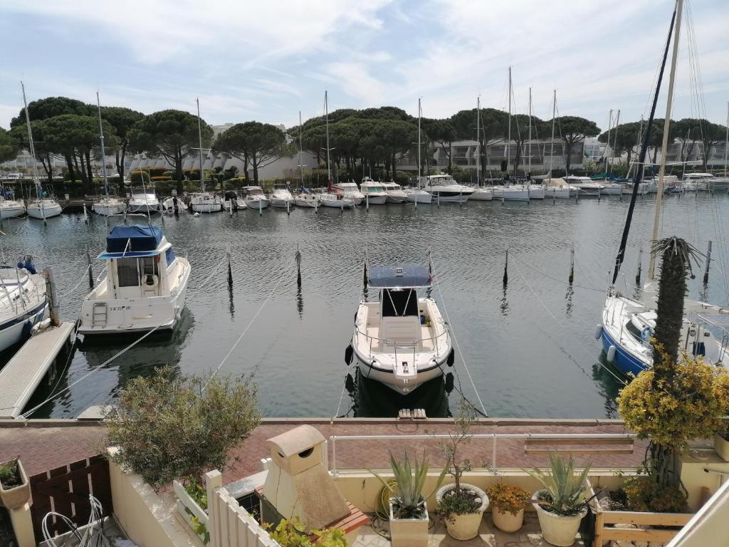 Appartement Marina Port Camargue 18 Rue Duquesne 30240 Le Grau-du-Roi