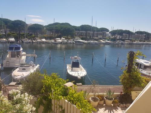 Marina Port Camargue