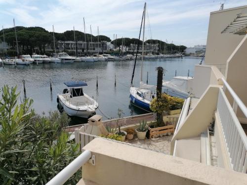 Marina Port Camargue