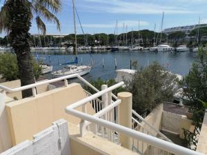 Marina Port Camargue