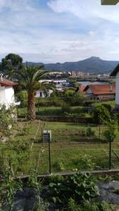 Marinela