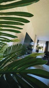 MARQUISATS LUXURY