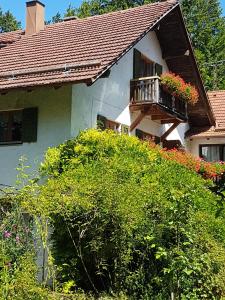 Martina's place