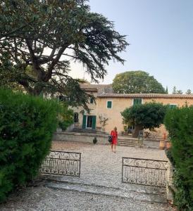 Appartement Mas de Monge Chemin du Mas de Monge 13150 Tarascon Languedoc-Roussillon