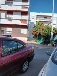 MATINHOS HOUSES