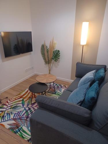 Mazamet : superbe studio refait à neuf (ménage et linge compris)