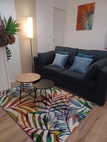 Mazamet : superbe studio refait à neuf (ménage et linge compris)