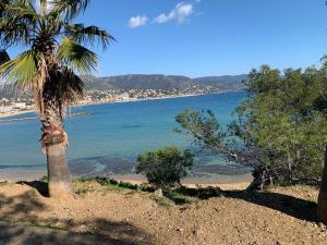 Mazet Tahiti Parc