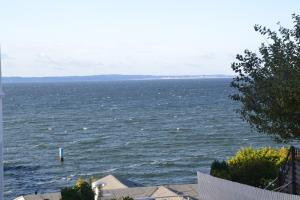 Meerforelle 207 - Villa Seeblick