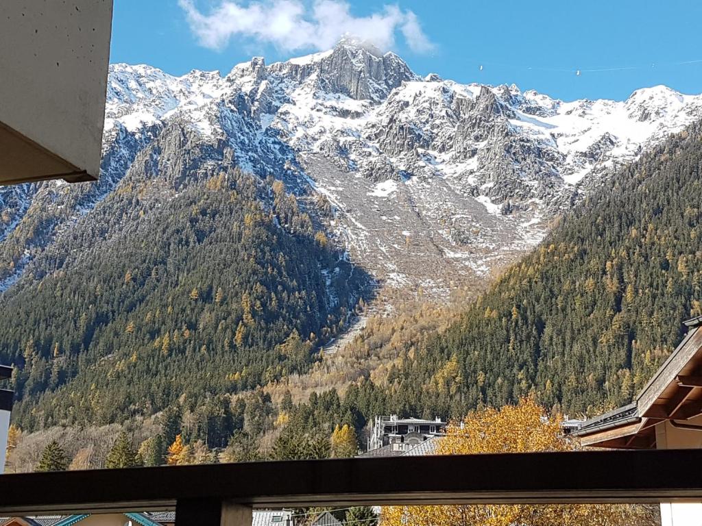 Appartement Meilleur emplacement hypercentre avec parking privatif souterrain 55 Chemin du Sapi 74400 Chamonix-Mont-Blanc