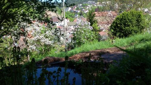 Meisterhaus Alpirsbach Loft