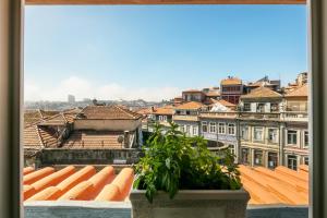 Merc Porto Ribeira's Up place