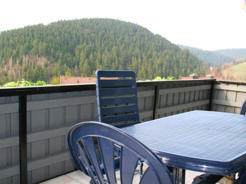 Mesmerizing Apartment in Wildemann Germany with Garden