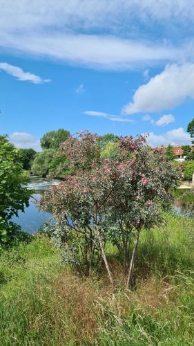 Messe- und Ferienwohnung mit Blick ins Grüne direkt am Wasser