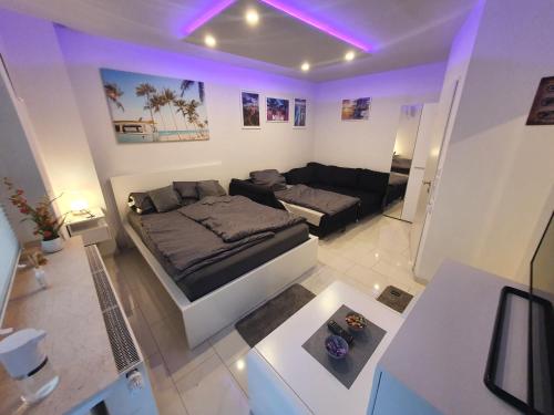 Miami Apartment