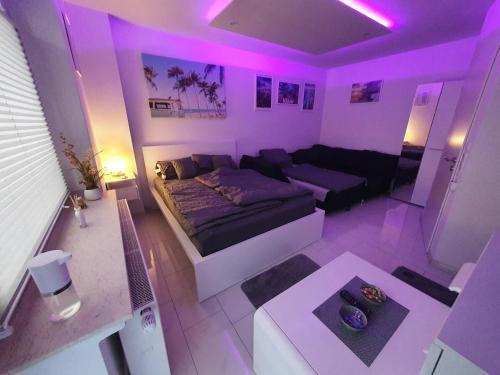 Miami Apartment