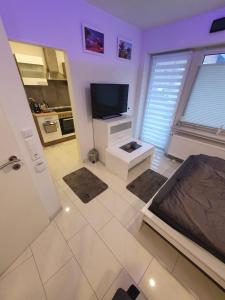 Miami Apartment
