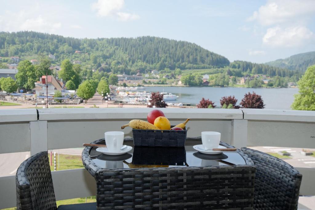 Appartement Miellerie du lac 4 Route d Epinal 88400 Gérardmer