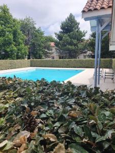 Mignon appartement en résidence avec piscine