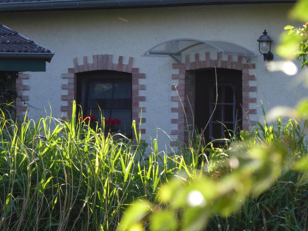 Mini-Apartment/FeWo 4 Am Dorfteich, 18209 Bad Doberan