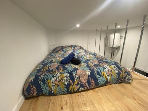 Mini studio avec mezzanine