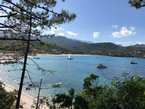 Mini villa avec accès direct plage de Favone