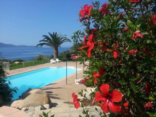 Appartement Mini villa N3 3 Résidence les Balcons du Valinco 20113 Olmeto Corse