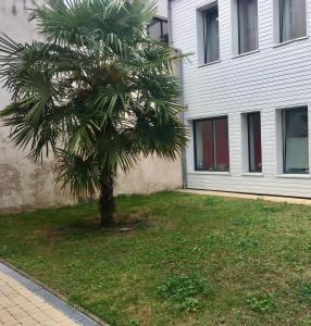 Appartement MISSIAMINAGE 11 Rue du Minage 17000 La Rochelle -1